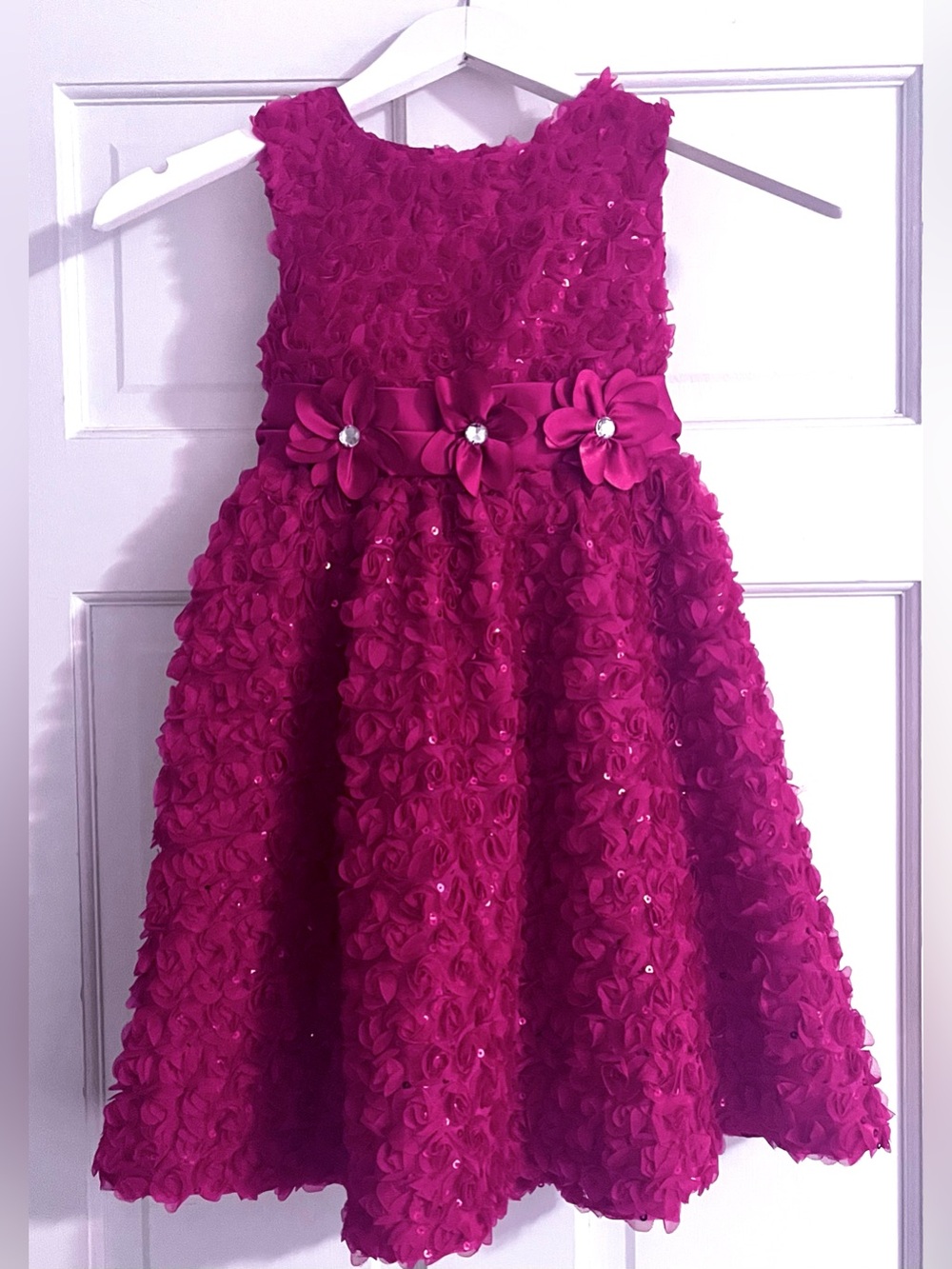 Rare Editions Hot Pink Rosette Flower Girl Dress with Satin Waistband